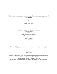 Minnows and Molecules: Resolving the Broad and Fine-Scale Evolutionary Patterns of Cypriniformes