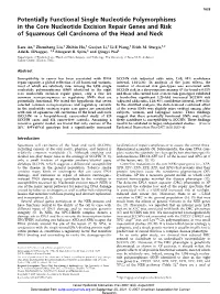 Potentially Functional Single Nucleotide Polymorphisms in the Core Nucleotide Excision Repair Genes and Risk of Squamous Cell Carcinoma of the Head and Neck