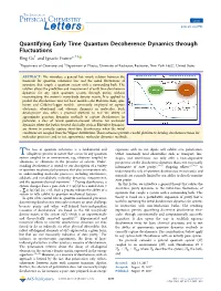 Quantifying Early Time Quantum Decoherence Dynamics Through