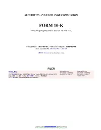Tesla, Inc. Form 10-K Annual Report Filed 2017-03-01