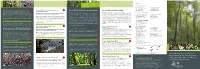 Ancient Beech Forests of Germany Primeval Beech Forests of The