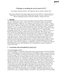Challenges in Modeling the Neural Control of LUT
