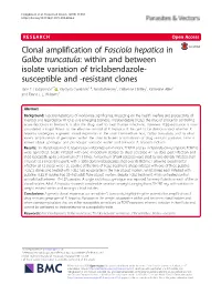 Clonal Amplification of Fasciola Hepatica in Galba Truncatula: Within and Between Isolate Variation of Triclabendazole- Susceptible and -Resistant Clones Jane E