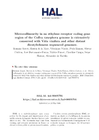 Microcollinearity in an Ethylene Receptor Coding Gene Region of The