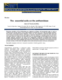 The Essential Soils on the Anthemideae