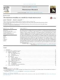 The Marmoset Monkey As a Model for Visual Neuroscience