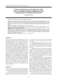 Notes on Taeniotes Scalaris (Fabricius, 1781) and T