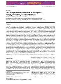 The Integumentary Skeleton of Tetrapods: Origin, Evolution, and Development Matthew K