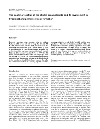 The Posterior Section of the Chick's Area Pellucida and Its Involvement in Hypoblast and Primitive Streak Formation