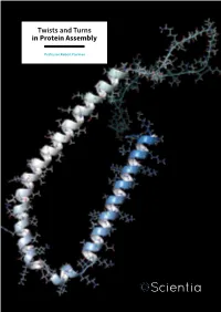 Twists and Turns in Protein Assembly