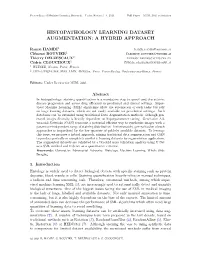 Histopathology Learning Dataset Augmentation: a Hybrid Approach