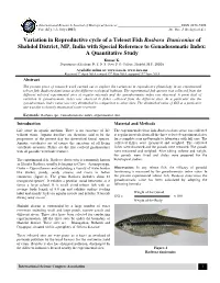 Variation in Reproductive Cycle of a Teleost Fish Rasbora Daniconius Of