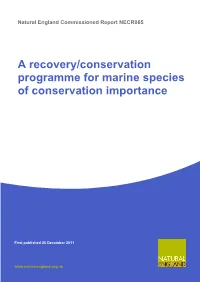 A Recovery/Conservation Programme for Marine Species of Conservation Importance