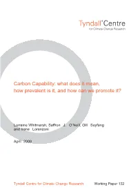 Tyndall Working Paper 132, March 2009