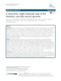 A Clone-Free, Single Molecule Map of the Domestic Cow (Bos Taurus