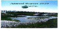 Annual R.Port 2020