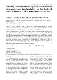 Detecting the Variability of Hydnum Ovoideisporum (Agaricomycetes, Cantharellales) on the Basis of Italian Collections, and H