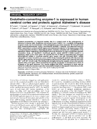 Endothelin-Converting Enzyme-1 Is Expressed in Human Cerebral Cortex and Protects Against Alzheimer's Disease