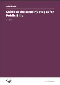 Guide to the Scrutiny Stages of Public Bills