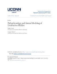 Pathophysiology and Animal Modeling of Underactive Bladder Phillip P