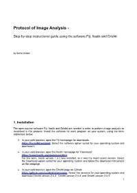 Protocol of Image Analysis