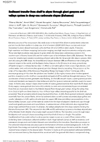 Sediment Transfer from Shelf to Abyss Through Giant Ganyons and Valleys System in Deep-Sea Carbonate Slopes (Bahamas)