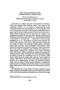 Tool Use in Digger Wasps (Hymenoptera: Sphecinae)* by H