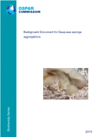 Background Document for Deep-Sea Sponge Aggregations 2010