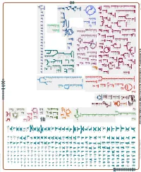 Generate Metabolic Map Poster