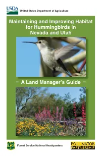 Maintaining and Improving Habitat for Hummingbirds in Nevada and Utah a Land Manager's Guide