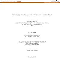 Public Pedagogy and the Experience of Video Creators in the It Gets Better Project