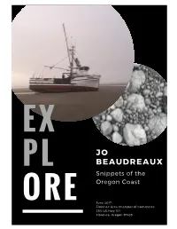Snippets of the Oregon Coast