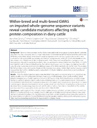 Within-Breed and Multi-Breed GWAS on Imputed Whole-Genome Sequence Variants Reveal Candidate Mutations Affecting Milk Protein Co