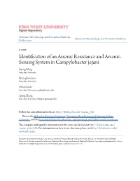 Identification of an Arsenic Resistance and Arsenic-Sensing System in Campylobacter Jejuni