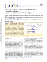 Autocatalytic Cycles in a Copper-Catalyzed Azide–Alkyne Cycloaddition Reaction