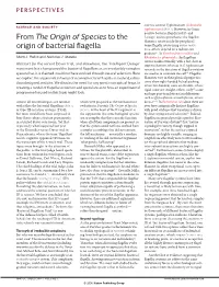 From the Origin of Species to the Origin of Bacterial Flagella