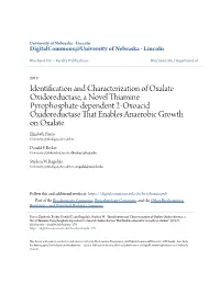 Identification and Characterization of Oxalate Oxidoreductase, A
