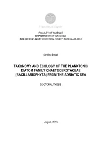 Phd Thesis the Taxa Are Listed Alphabetically Within the Bacteriastrum Genera and Each of the Chaetoceros Generic Subdivision (Subgenera)