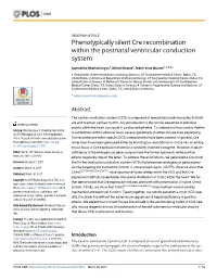 Phenotypically Silent Cre Recombination Within the Postnatal Ventricular Conduction System