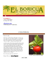 Elboricua.Com Celebrating Our 10Th Anniversary
