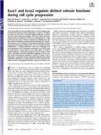 Esco1 and Esco2 Regulate Distinct Cohesin Functions During Cell Cycle Progression