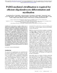 PADI2-Mediated Citrullination Is Required for Efficient