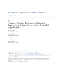 Phylogeny, Adaptive Radiation, and Historical Biogeography of Bromeliaceae Inferred from Ndhf Sequence Data Thomas J