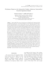 Preliminary Report on the Octocorals (Cnidaria: Anthozoa: Octocorallia) from the Ogasawara Islands