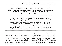 Viruses Infecting the Marine Prymnesiophyte Chrysochromulina Spp.: Isolation, Preliminary Characterization and Natural Abundance