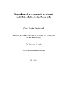 Biogeochemical Processes and Trace Element Mobility in Alkaline Waste Affected Soils