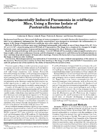 Experimentally Induced Pneumonia in &lt;I&gt;Scid/Beige&lt;/I&gt; Mice, Using A