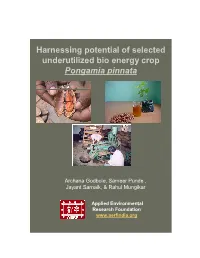 Harnessing Potential of Selected Underutilized Bio Energy Crop Pongamia Pinnata
