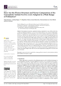 How Are the Flower Structure and Nectar Composition of the Generalistic Orchid Neottia Ovata Adapted to a Wide Range of Pollinators?