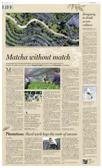 Matcha Without Match Esting Experience in Brewing It,” Quarroz Says